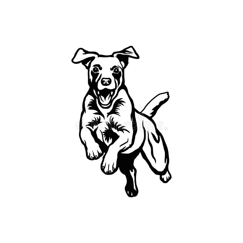 Jack russell terrier dog vector ilustración aislada en fondo blanco ilustración del vector