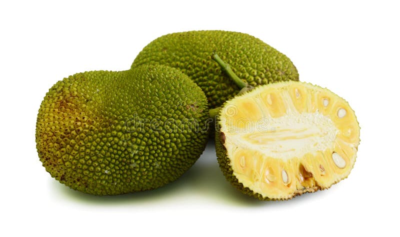 111 Giant Jackfruit Photos Free Royalty Free Stock Photos From Dreamstime