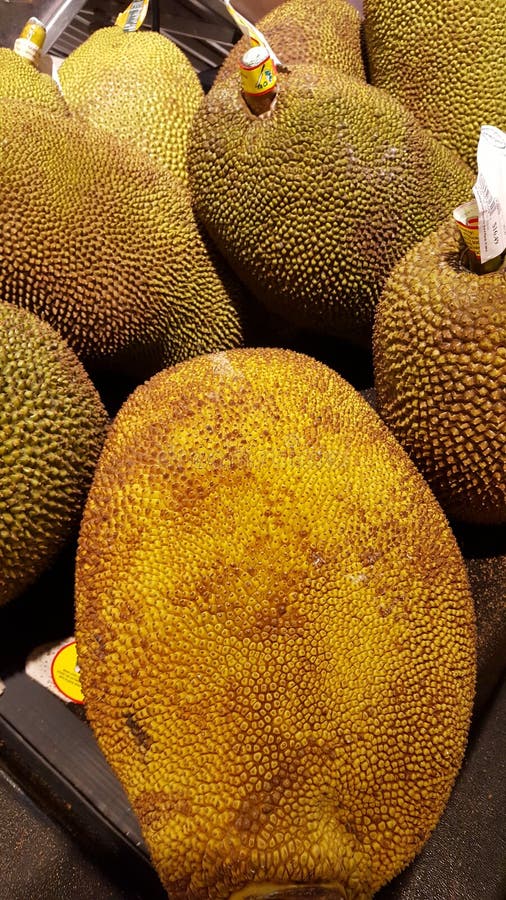 Jackfruit editorial stock image. Image of grocery, jackfruit 95533424