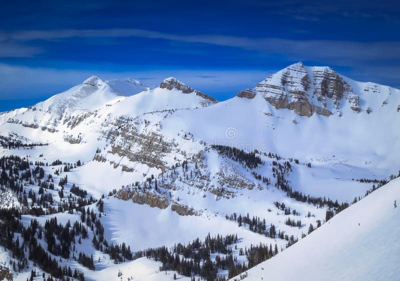 Jackson Hole, χειμώνας του Ουαϊόμινγκ στοκ εικόνες