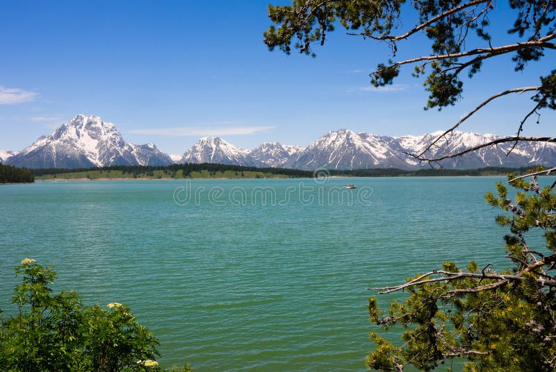 Jackson Lake in stock image. Image of mountain, summer 24126941