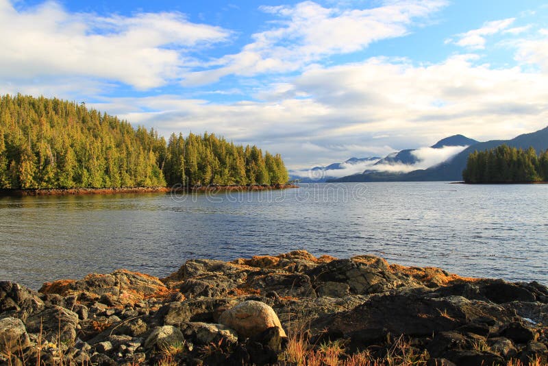 Jackson Narrows shoreline