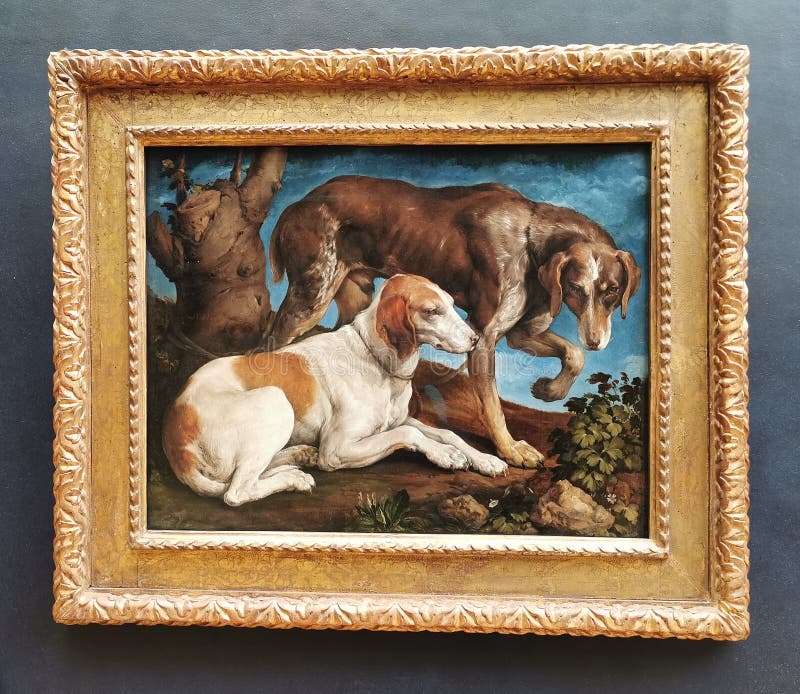 Two Hounds Hunting Dogs Animal Painting By Jacopo Bassano Repro