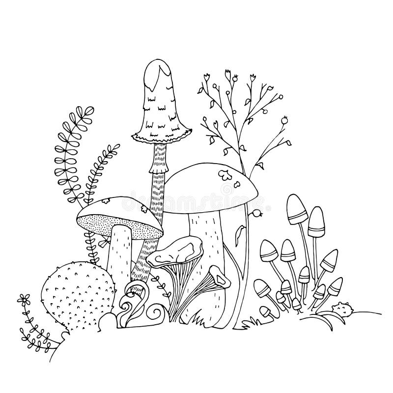 Jadalne różnorodne pieczarki, ręka rysująca ilustracja Kolorystyki książki strona ilustracja wektor Jadalne różnorodne pieczarki, ręka rysująca ilustracja Kolorystyki książki strona ilustracja wektor