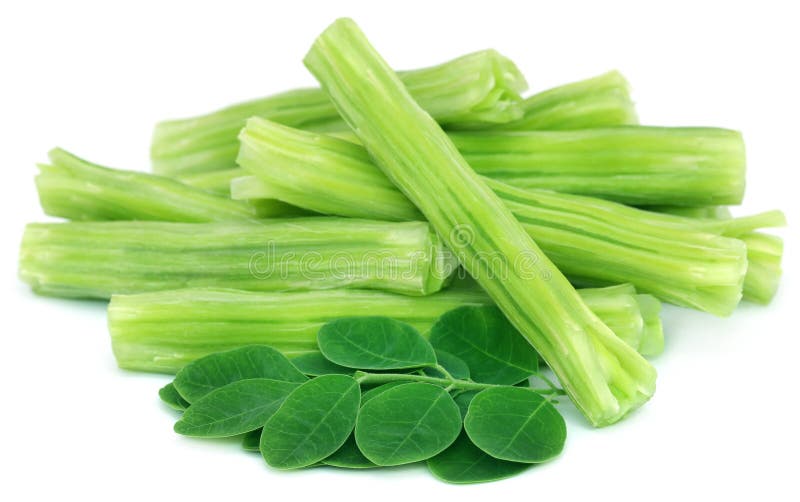 Jadalny Moringa oleifera z zielonymi liśćmi zdjęcia royalty free
