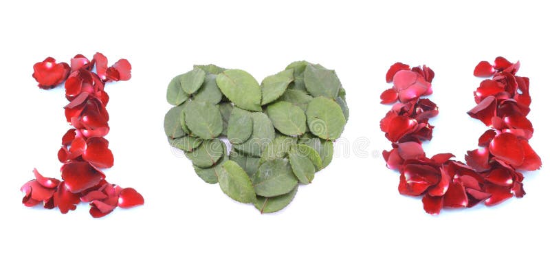Jag älskar dig gjorde vid den isolerade röda rosen på vit bakgrund royaltyfri fotografi Jag älskar dig gjorde vid den isolerade röda rosen på vit bakgrund royaltyfri fotografi