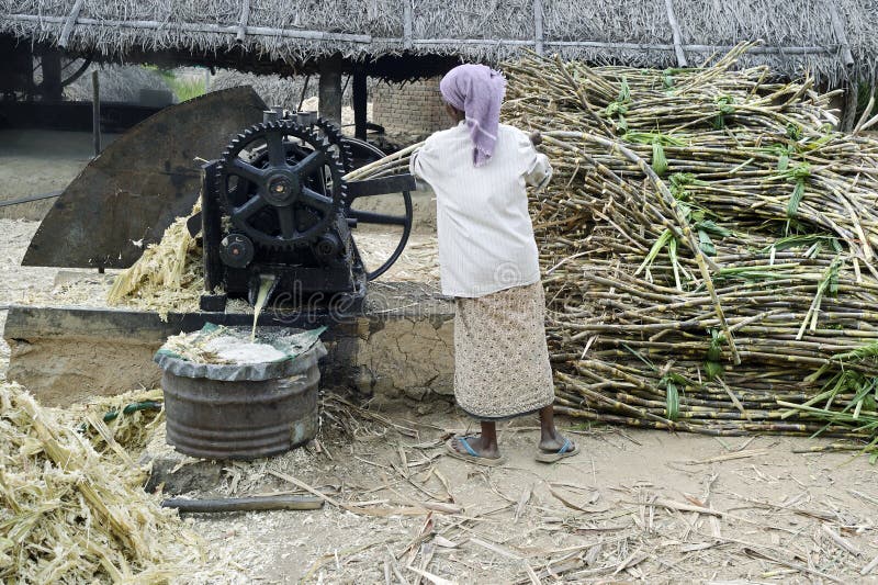 Jaggery-cana-de-açúcar e suco da extração imagem de stock Jaggery-cana-de-açúcar e suco da extração imagem de stock