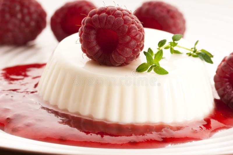 Jagodowa cotta panna kumberlandu wanilia zdjęcie stock