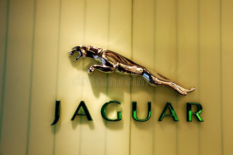 Jaguar royalty free stock photography