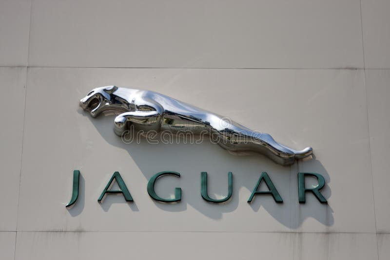 Jaguar royalty free stock photos