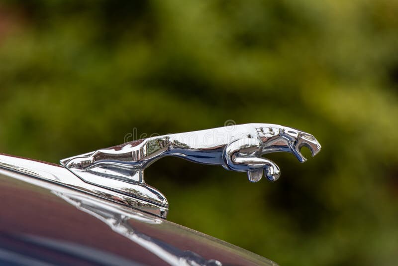 Jaguar Auto Bonnetornament Stockfoto und mehr Bilder von Jaguar