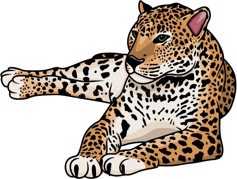 Jaguar Clipart Vector, Cheetah, Leopard Stock Vector - Illustration of ...
