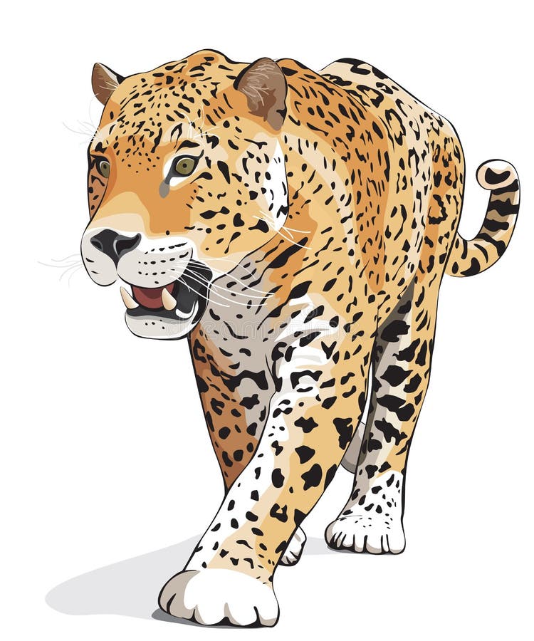 Jaguar - Vector, Aislado, Sombra Ilustración del Vector - Ilustración