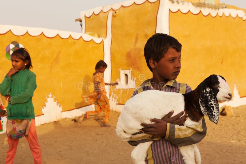 Children plays and the boy carry a baby lamb in his arms in a village near Thar desert, Jaisalmer, India royalty free stock photo