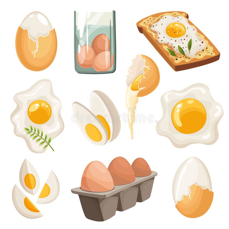 Cartoon eggs isolated on white background. Set of fried, boiled, cracked eggshell, sliced eggs and chicken eggs in box. Vector illustration. Collection eggs in various forms. Cartoon eggs isolated on white background. Set of fried, boiled, cracked eggshell, sliced eggs and chicken eggs in box. Vector illustration. Collection eggs in various forms.