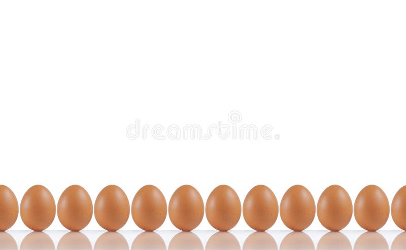 So many eggs standing in one row. So many eggs standing in one row