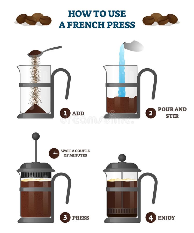 How to use a french press vector illustration. Labeled educational description with all process stages to make fresh coffee. Kitchen machine for beverage preparation. Home appliance simple explanation. How to use a french press vector illustration. Labeled educational description with all process stages to make fresh coffee. Kitchen machine for beverage preparation. Home appliance simple explanation