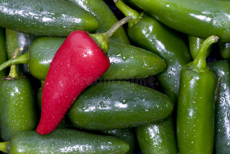 Jalapenopeppar arkivfoton