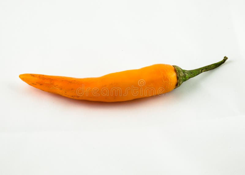 Jalapenos Chili Peppers på vit bakgrund fotografering för bildbyråer Jalapenos Chili Peppers på vit bakgrund fotografering för bildbyråer