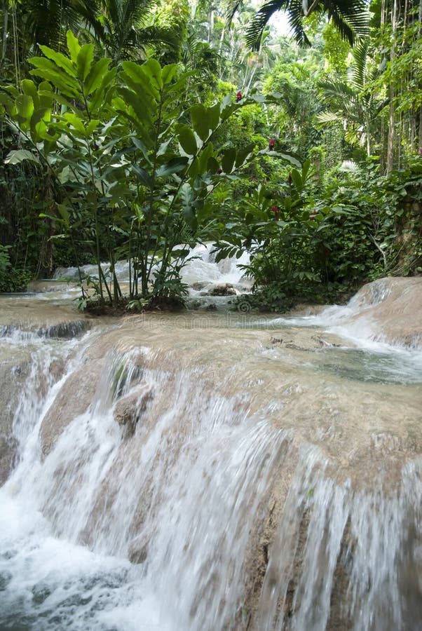 Jamaica`s Ocho Rios Town Garden