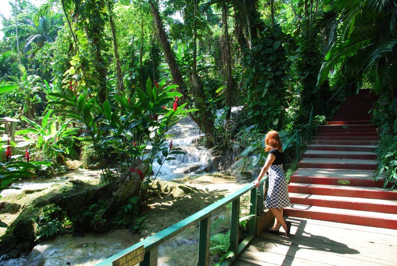 Jamaican Gardens stock image. Image of travel, girl, people 14163577