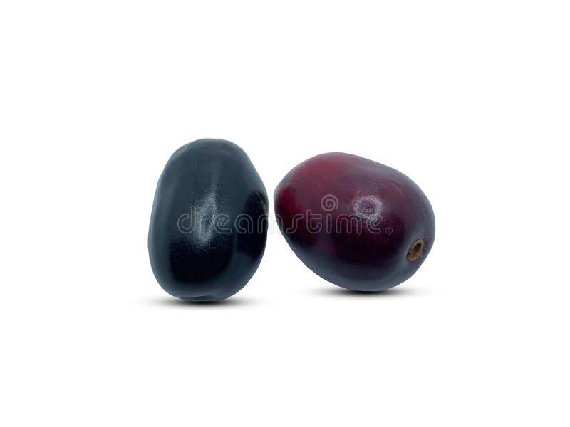 Jambolan李子，深紫色和红色的，在白色背景上隔离 免版税图库摄影