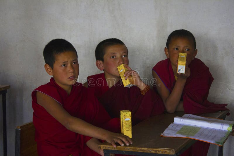 JAMMU EN KASHMIR, INDIA, de Groep van Juli 2016 van studenten van Thiksey-Klooster royalty-vrije stock afbeeldingen JAMMU EN KASHMIR, INDIA, de Groep van Juli 2016 van studenten van Thiksey-Klooster royalty-vrije stock afbeeldingen