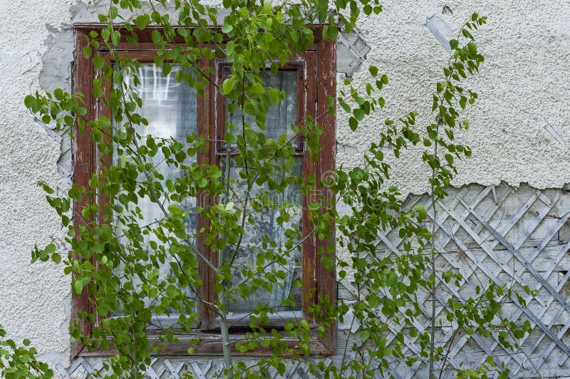 Vista Frontal De Uma Casa Branca Com Janelas De Portas Verdes Escuras E  Outros Elementos Imagem de Stock - Imagem de branco, mostrado: 191603991