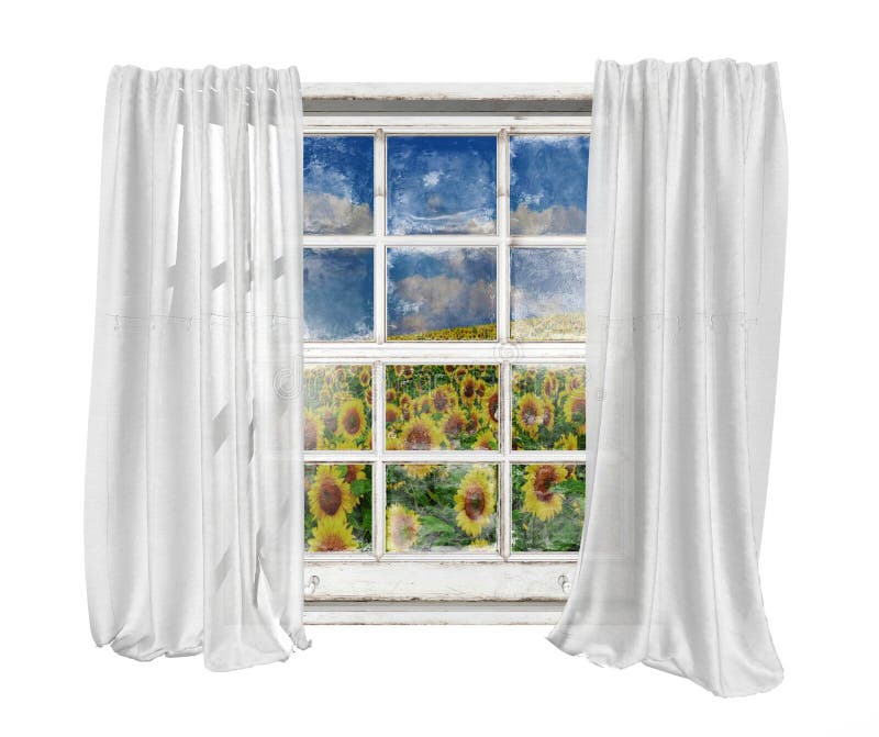 A janela do vintage com cortinas brancas isolou a vista do campo dos girassóis foto de stock A janela do vintage com cortinas brancas isolou a vista do campo dos girassóis foto de stock