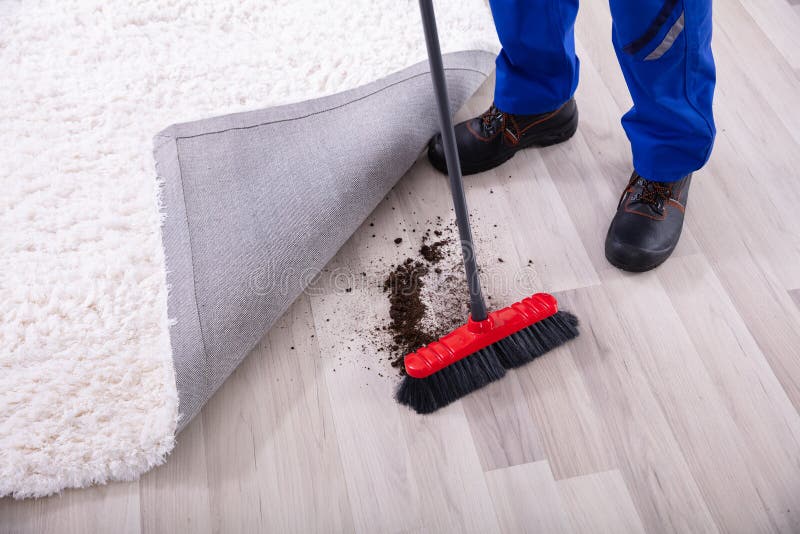 Sweeping Under Carpet Stock Photos - Free & Royalty-Free Stock Photos from  Dreamstime