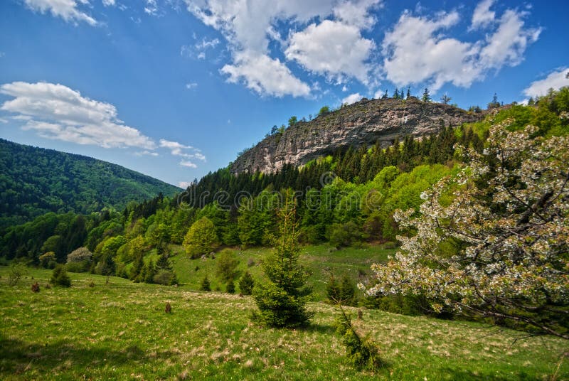 Janosikova skala rock during spring