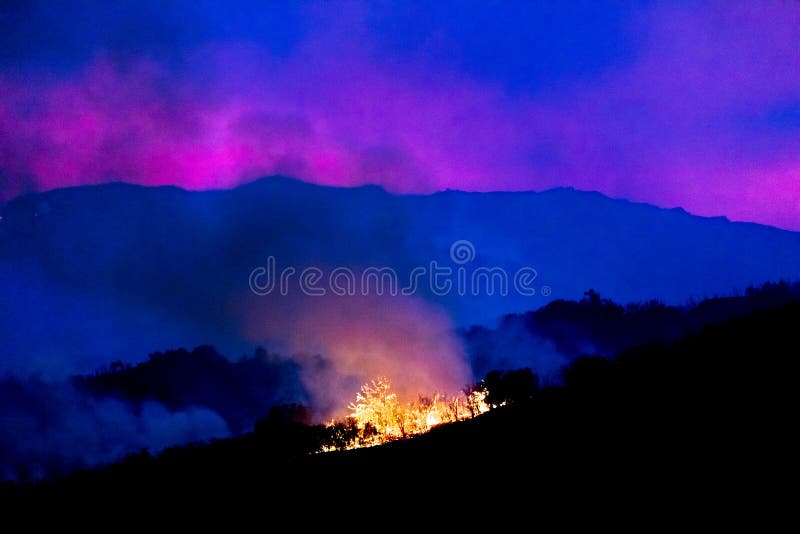 JANUARI 2018, VENTURA KALIFORNIEN - Thomas Fire bränner nära Meiners ekar i den Ojai dalen, Ventura Borste som är horisontal arkivfoto JANUARI 2018, VENTURA KALIFORNIEN - Thomas Fire bränner nära Meiners ekar i den Ojai dalen, Ventura Borste som är horisontal arkivfoto