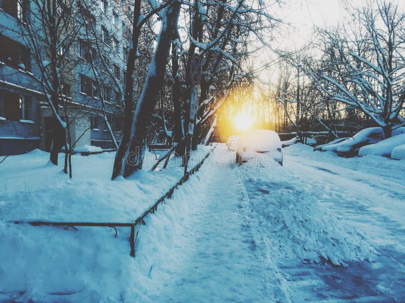 January stock image. Image of handsomely, good, cold 51703675