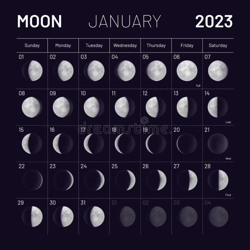 January Lunar Calendar for 2023 Year, Monthly Cycle Planner Stock