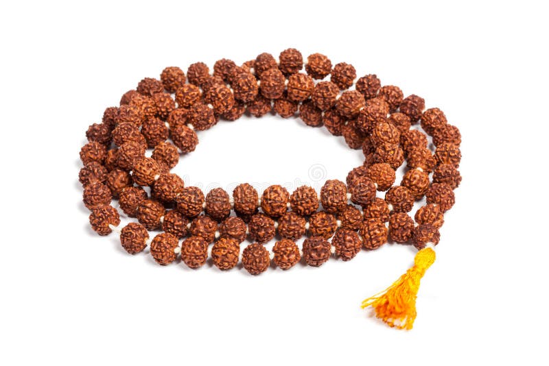 Rudraksha Beads And Rosary Hindu Sacred Attribute For Prayers