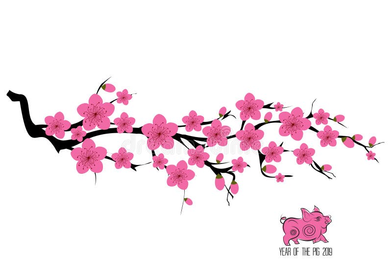 Japan cherry blossom branching tree illustration. Japanese invitation card with asian blossoming plum branch vector illustration Japan cherry blossom branching tree illustration. Japanese invitation card with asian blossoming plum branch vector illustration