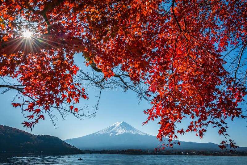 Japan der Fujisan und Kawaguchiko See Autumn Postcard View mit Ahorn-rote Farbblättern stockfotografie