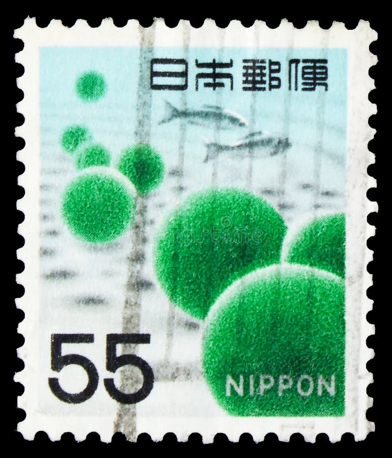 In Japan gedrukt postzegel toont Marimo Moss Balls (Aegagropila Linnaei), Fauna, Flora en Cultureel Erfgoed, 55 -