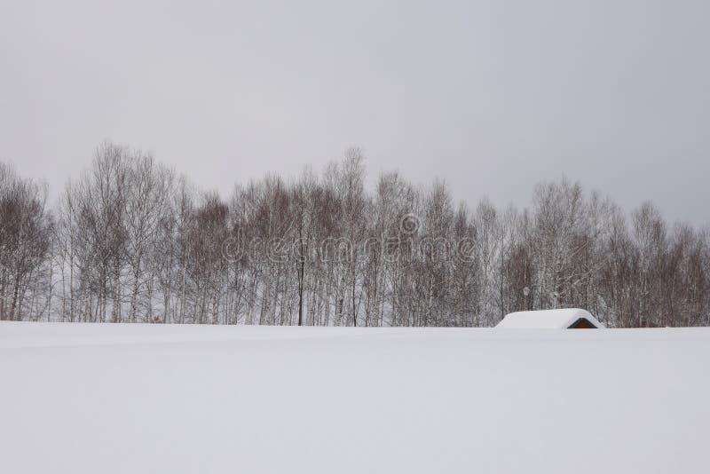 Japan Hokkaido Biei in Winter royalty free stock image Japan Hokkaido Biei in Winter royalty free stock image