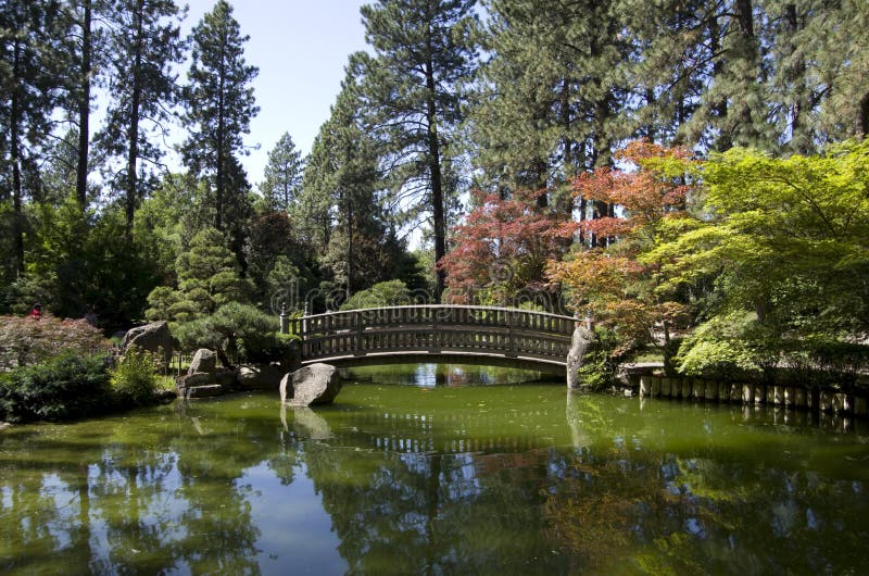 Japan trädgårds- Spokane royaltyfri bild Japan trädgårds- Spokane royaltyfri bild