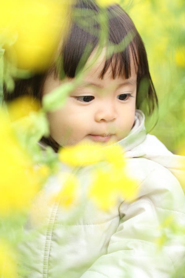 Japanese baby girl and yellow field mustard