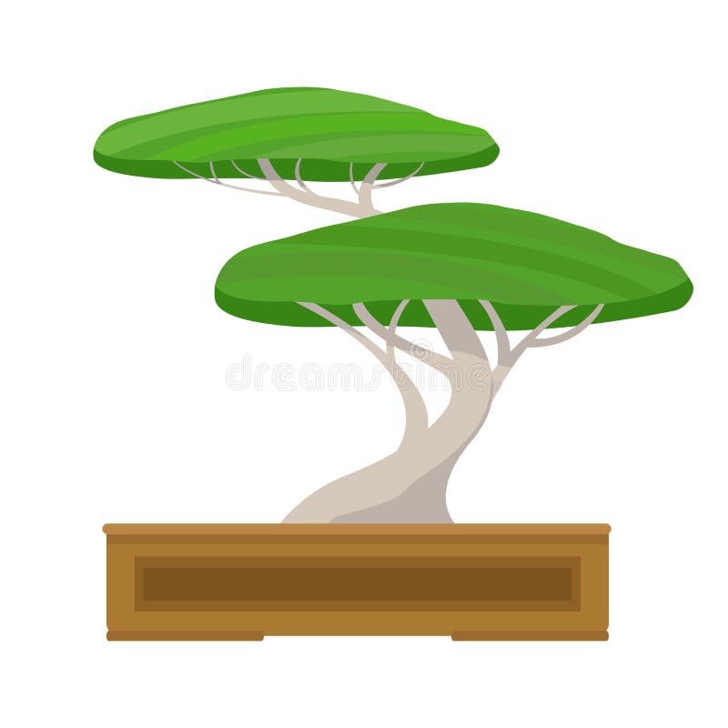 Japanese Bonsai Tree on Isolated White Background. Vector Illustration