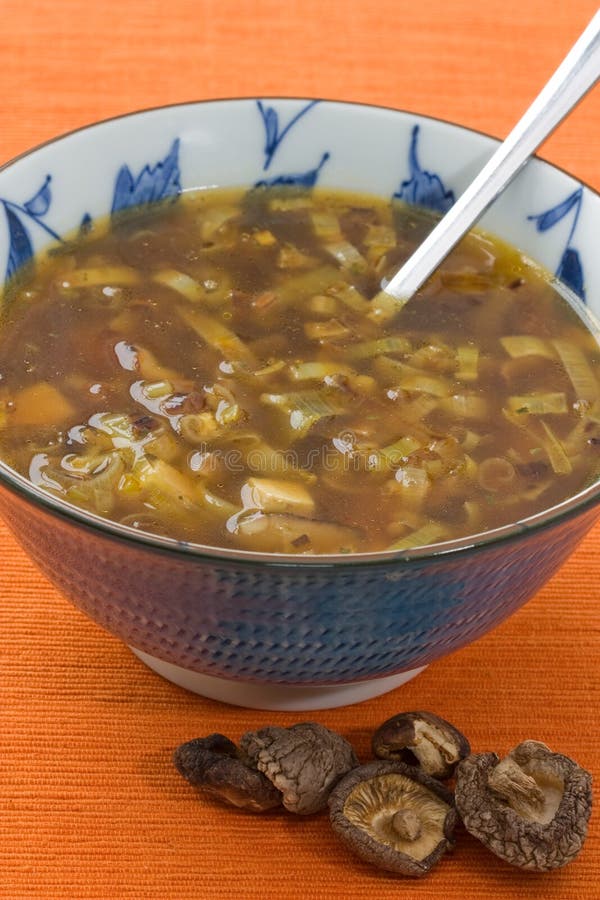 Japanese Broth stock image. Image of shiitake, delicious 16173123