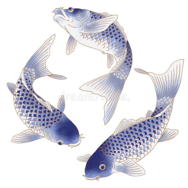 Japanese Carp Stock Illustration Illustration Of Freshwater 42781460