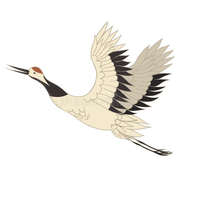 Japanese Crane Bird Isolate on a White Background. Vector Graphics