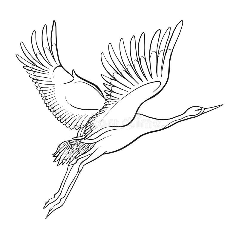 5,036 Crane Bird Sketch Royalty-Free Photos and Stock Images | Shutterstock