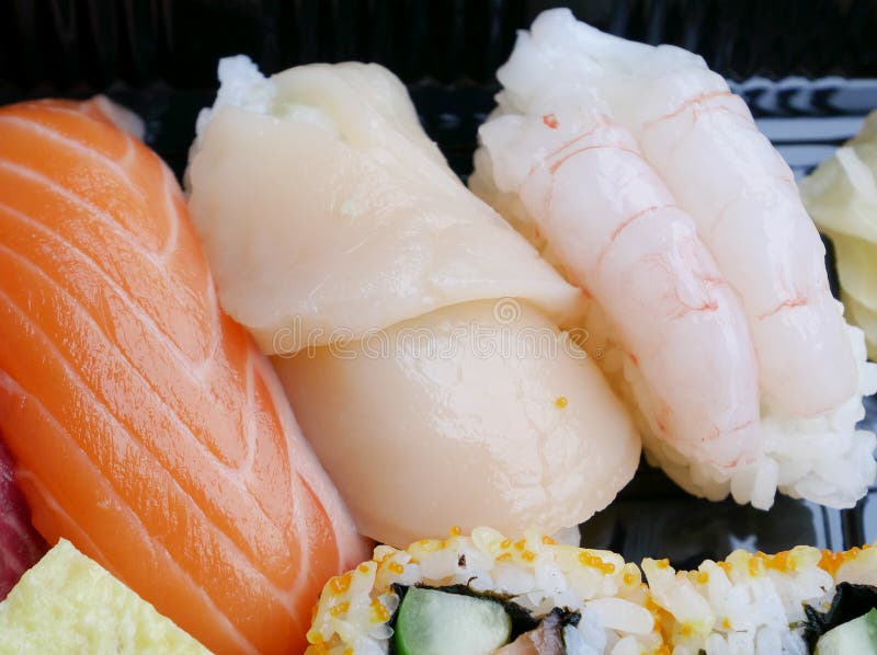Japanese Delicious Sushi in the Lunch Box Set Stock Photo Image of
