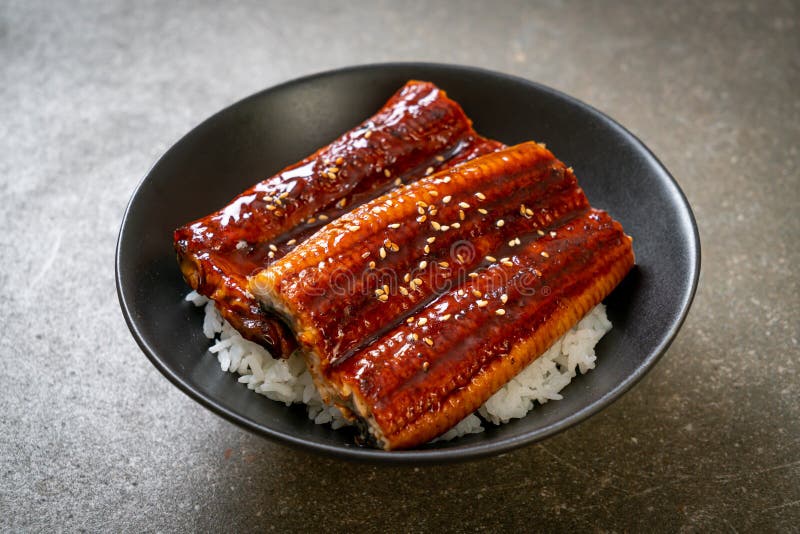 Eel Rice Bowl or Unagi Rice Bowl Stock Photo Image of dish roasted: 246153558 Eel Rice Bowl or Unagi Rice Bowl Stock Photo Image of dish roasted: 246153558