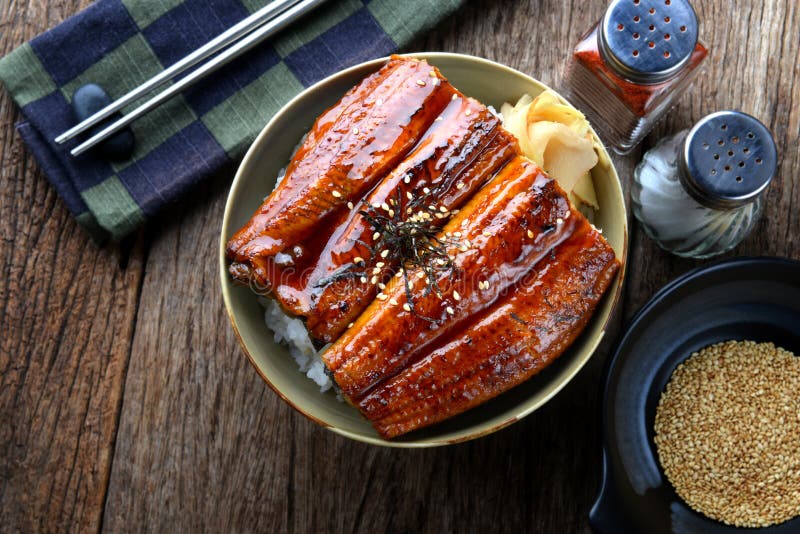 Japanese Eel Grilled with Rice or Unagi Don. Stock Image - Image of