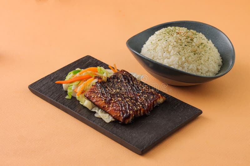 Japanese Eel Rice Served in Dish Isolated on Background Side View of